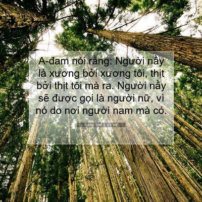 Picture 07 - Sáng Thế 2:23 VIE - A-đam nói rằng: Người nầy là xương - Bible Verse Picture