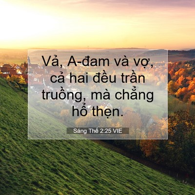 Picture 07 - Sáng Thế 2:25 VIE - Vả, A-đam và vợ, cả hai đều trần - Bible Verse Picture