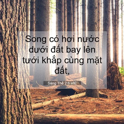 Picture 07 - Sáng Thế 2:6 VIE - Song có hơi nước dưới đất bay lên - Bible Verse Picture