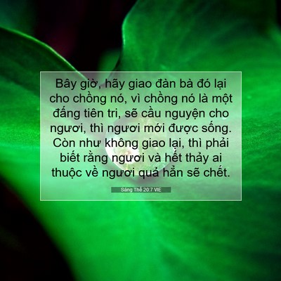 Picture 07 - Sáng Thế 20:7 VIE - Bây giờ, hãy giao đàn bà đó lại cho - Bible Verse Picture