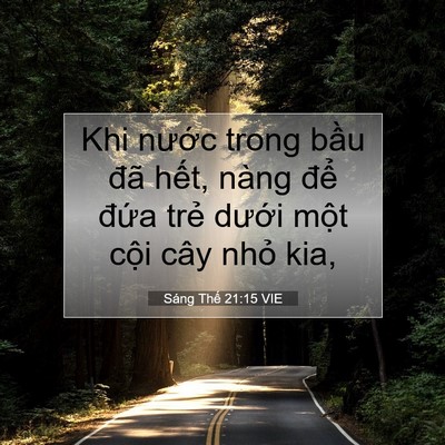 Picture 07 - Sáng Thế 21:15 VIE - Khi nước trong bầu đã hết, nàng để - Bible Verse Picture
