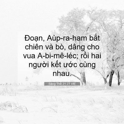 Picture 07 - Sáng Thế 21:27 VIE - Đoạn, Aùp-ra-ham bắt chiên và bò, dâng - Bible Verse Picture