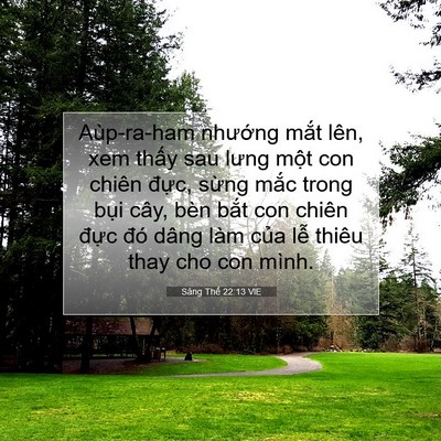 Picture 07 - Sáng Thế 22:13 VIE - Aùp-ra-ham nhướng mắt lên, xem thấy sau - Bible Verse Picture