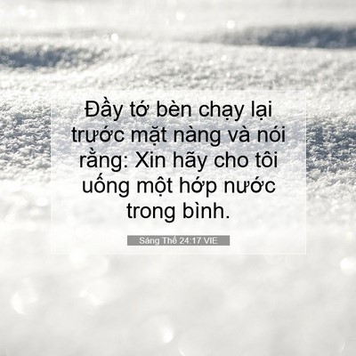 Picture 07 - Sáng Thế 24:17 VIE - Đầy tớ bèn chạy lại trước mặt - Bible Verse Picture