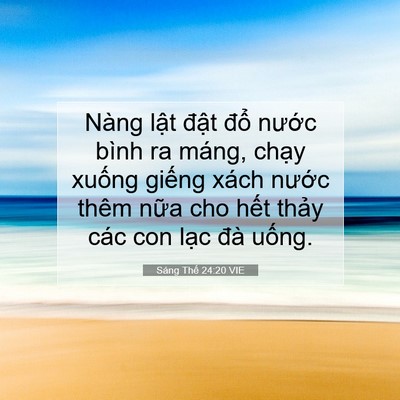 Picture 07 - Sáng Thế 24:20 VIE - Nàng lật đật đổ nước bình ra máng, - Bible Verse Picture