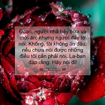 Picture 07 - Sáng Thế 24:33 VIE - Đoạn, người nhà bày bữa và mời ăn; - Bible Verse Picture