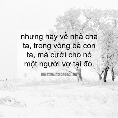 Picture 07 - Sáng Thế 24:38 VIE - nhưng hãy về nhà cha ta, trong vòng bà con - Bible Verse Picture