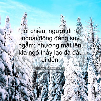 Picture 07 - Sáng Thế 24:63 VIE - lối chiều, người đi ra ngoài đồng - Bible Verse Picture