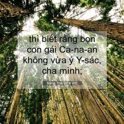 Picture 07 - Sáng Thế 28:8 VIE - thì biết rằng bọn con gái Ca-na-an không - Bible Verse Picture