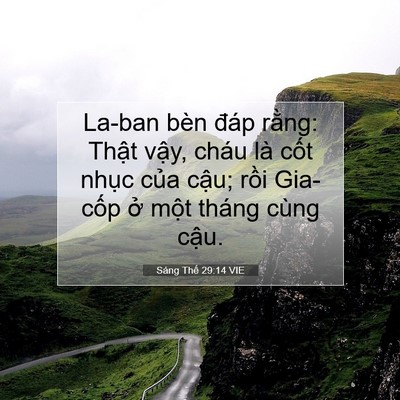 Picture 07 - Sáng Thế 29:14 VIE - La-ban bèn đáp rằng: Thật vậy, cháu là - Bible Verse Picture