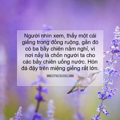 Picture 07 - Sáng Thế 29:2 VIE - Người nhìn xem, thấy một cái giếng - Bible Verse Picture