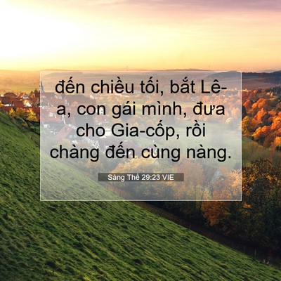 Picture 07 - Sáng Thế 29:23 VIE - đến chiều tối, bắt Lê-a, con gái - Bible Verse Picture