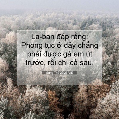 Picture 07 - Sáng Thế 29:26 VIE - La-ban đáp rằng: Phong tục ở đây - Bible Verse Picture