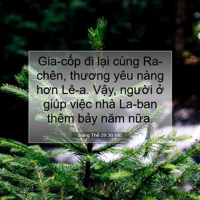 Picture 07 - Sáng Thế 29:30 VIE - Gia-cốp đi lại cùng Ra-chên, thương yêu - Bible Verse Picture