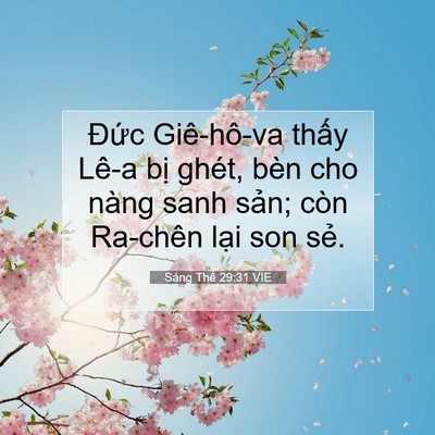 Picture 07 - Sáng Thế 29:31 VIE - Đức Giê-hô-va thấy Lê-a bị ghét, bèn - Bible Verse Picture