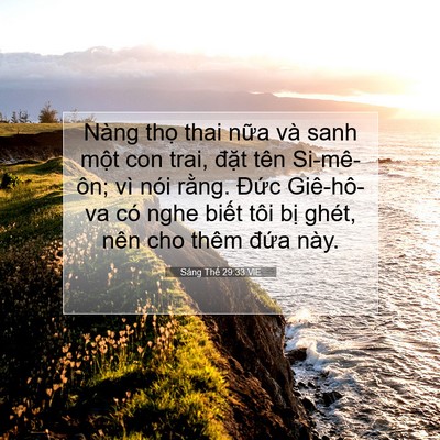 Picture 07 - Sáng Thế 29:33 VIE - Nàng thọ thai nữa và sanh một con trai, - Bible Verse Picture