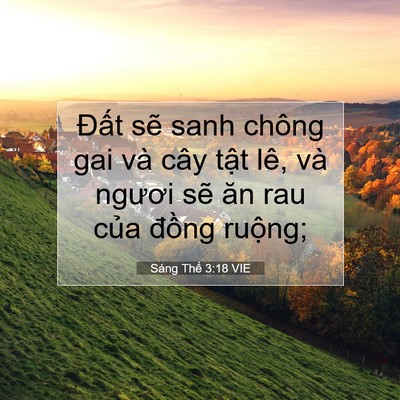 Picture 07 - Sáng Thế 3:18 VIE - Đất sẽ sanh chông gai và cây tật lê, - Bible Verse Picture