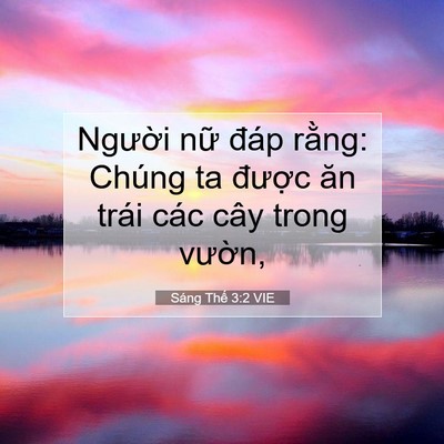 Picture 07 - Sáng Thế 3:2 VIE - Người nữ đáp rằng: Chúng ta được - Bible Verse Picture