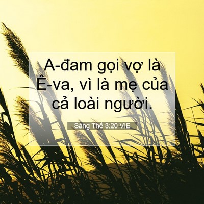 Picture 07 - Sáng Thế 3:20 VIE - A-đam gọi vợ là Ê-va, vì là mẹ của - Bible Verse Picture