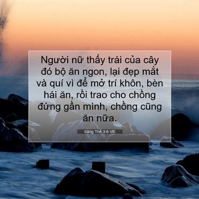 Picture 07 - Sáng Thế 3:6 VIE - Người nữ thấy trái của cây đó bộ - Bible Verse Picture