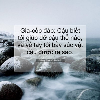 Picture 07 - Sáng Thế 30:29 VIE - Gia-cốp đáp: Cậu biết tôi giúp đỡ - Bible Verse Picture