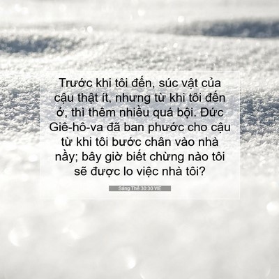 Picture 07 - Sáng Thế 30:30 VIE - Trước khi tôi đến, súc vật của cậu - Bible Verse Picture
