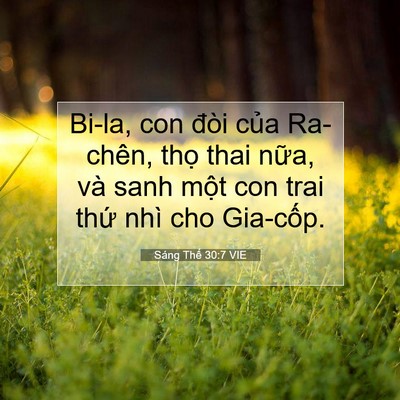 Picture 07 - Sáng Thế 30:7 VIE - Bi-la, con đòi của Ra-chên, thọ thai - Bible Verse Picture