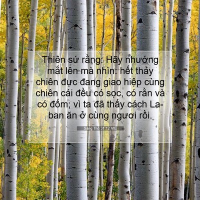 Picture 07 - Sáng Thế 31:12 VIE - Thiên sứ rằng: Hãy nhướng mắt lên mà - Bible Verse Picture