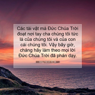 Picture 07 - Sáng Thế 31:16 VIE - Các tài vật mà Đức Chúa Trời đoạt - Bible Verse Picture