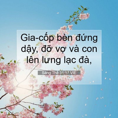 Picture 07 - Sáng Thế 31:17 VIE - Gia-cốp bèn đứng dậy, đỡ vợ và con - Bible Verse Picture