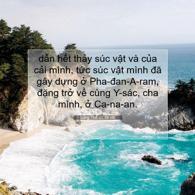 Picture 07 - Sáng Thế 31:18 VIE - dẫn hết thảy súc vật và của cải - Bible Verse Picture