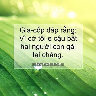 Picture 07 - Sáng Thế 31:31 VIE - Gia-cốp đáp rằng: Vì cớ tôi e cậu - Bible Verse Picture