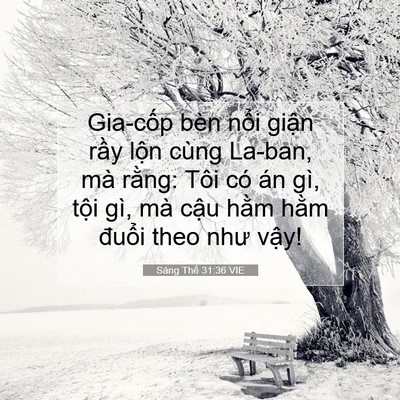 Picture 07 - Sáng Thế 31:36 VIE - Gia-cốp bèn nổi giận rầy lộn cùng - Bible Verse Picture
