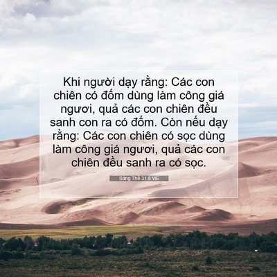 Picture 07 - Sáng Thế 31:8 VIE - Khi người dạy rằng: Các con chiên có - Bible Verse Picture