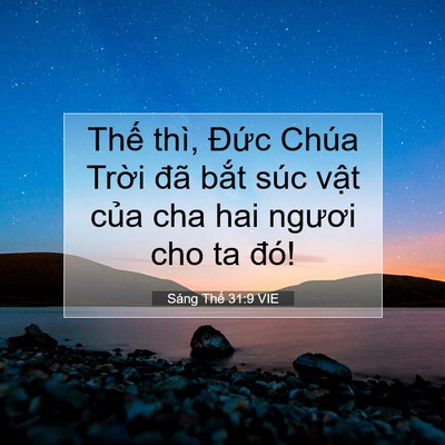Picture 07 - Sáng Thế 31:9 VIE - Thế thì, Đức Chúa Trời đã bắt súc - Bible Verse Picture