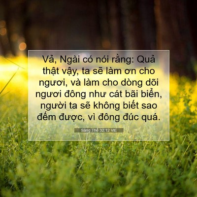 Picture 07 - Sáng Thế 32:12 VIE - Vả, Ngài có nói rằng: Quả thật vậy, - Bible Verse Picture