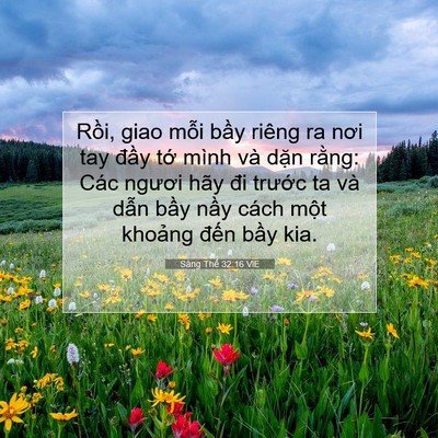 Picture 07 - Sáng Thế 32:16 VIE - Rồi, giao mỗi bầy riêng ra nơi tay đầy - Bible Verse Picture
