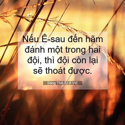 Picture 07 - Sáng Thế 32:8 VIE - Nếu Ê-sau đến hãm đánh một trong hai - Bible Verse Picture