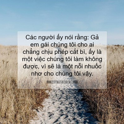 Picture 07 - Sáng Thế 34:14 VIE - Các người ấy nói rằng: Gả em gái - Bible Verse Picture