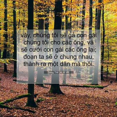 Picture 07 - Sáng Thế 34:16 VIE - vậy, chúng tôi sẽ gả con gái chúng tôi - Bible Verse Picture