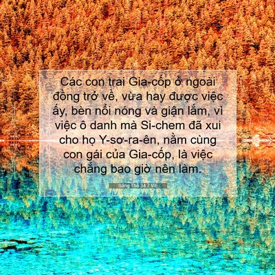 Picture 07 - Sáng Thế 34:7 VIE - Các con trai Gia-cốp ở ngoài đồng trở - Bible Verse Picture