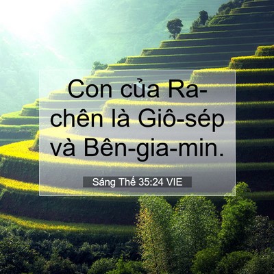 Picture 07 - Sáng Thế 35:24 VIE - Con của Ra-chên là Giô-sép và - Bible Verse Picture