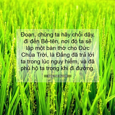 Picture 07 - Sáng Thế 35:3 VIE - Đoạn, chúng ta hãy chổi dậy, đi đến - Bible Verse Picture