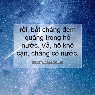 Picture 07 - Sáng Thế 37:24 VIE - rồi, bắt chàng đem quăng trong hố - Bible Verse Picture