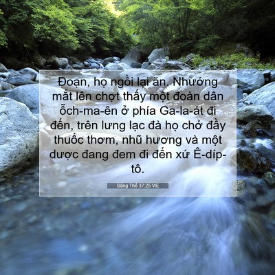 Picture 07 - Sáng Thế 37:25 VIE - Đoạn, họ ngồi lại ăn. Nhướng mắt - Bible Verse Picture