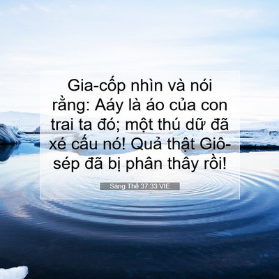 Picture 07 - Sáng Thế 37:33 VIE - Gia-cốp nhìn và nói rằng: Aáy là áo - Bible Verse Picture