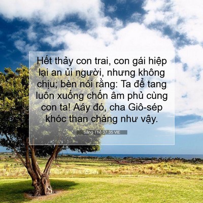 Picture 07 - Sáng Thế 37:35 VIE - Hết thảy con trai, con gái hiệp lại an - Bible Verse Picture