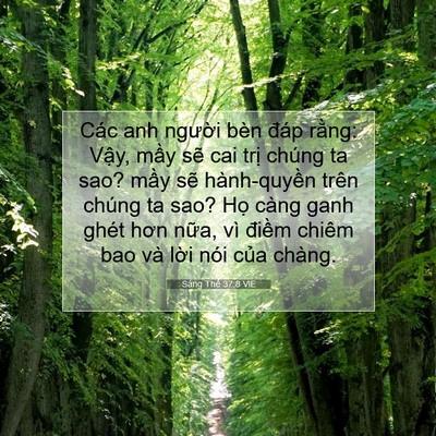 Picture 07 - Sáng Thế 37:8 VIE - Các anh người bèn đáp rằng: Vậy, mầy - Bible Verse Picture