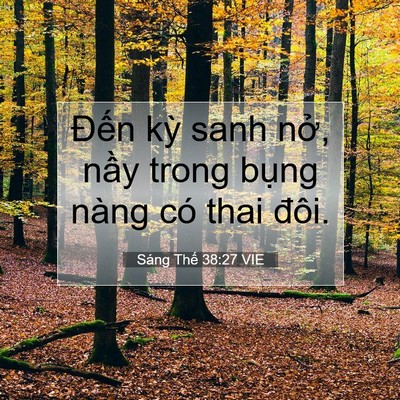 Picture 07 - Sáng Thế 38:27 VIE - Đến kỳ sanh nở, nầy trong bụng nàng - Bible Verse Picture