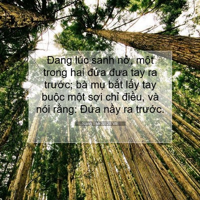 Picture 07 - Sáng Thế 38:28 VIE - Đang lúc sanh nở, một trong hai đứa - Bible Verse Picture